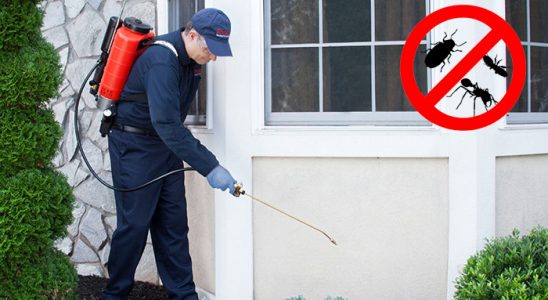Gölhisar Gümüşkurt İlaçlama böcek ilaçlama ve haşere kontrolü — ilaclama-tr.com